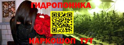 прущие грибы Пугачёв