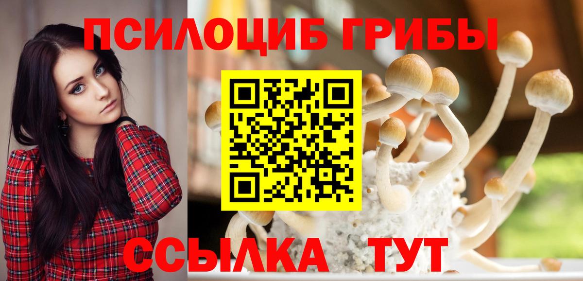 Сегежа  Псилоцибиновые грибы GOLDEN TEACHER  Вход с VPN 